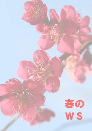 春の演技ワークショップ　役者を目指す人たちへ