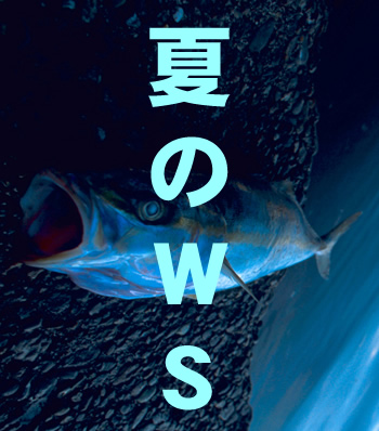 熱い夏にしよう サマーワークショップ開催