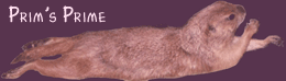 �g�b�v�ɖ߂��