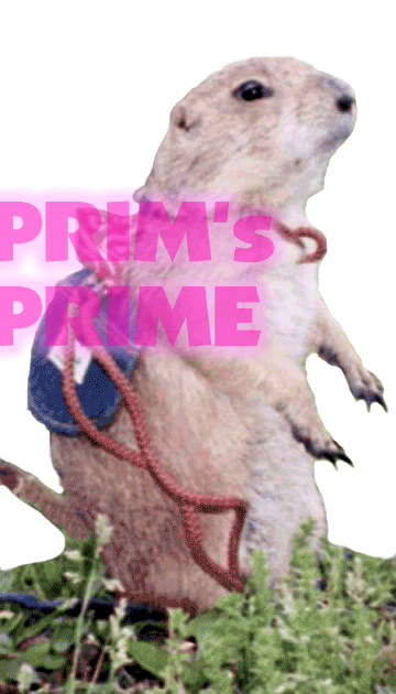 PRIM's PRIME v[[EhbÕv