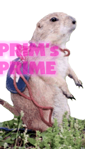 PRIM's PRIME �v���[���[�E�h�b�O�̃v����